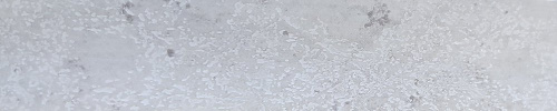 Кромка ПВХ Цемент светлый 500045S Generics 19/0.8 мм (150) Рехау