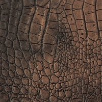 Крокодил коричневый (125)  2800х1000х10 мм
