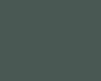 Зеленый лист 3Р 3050 Кромка 1*22 AGT (100м) 1 гр