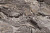 Столешница влагостойкая (3000*600*38) №261 Паладина коричневая ГЛЯНЕЦ