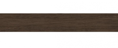 Кромка ПВХ  Вяз швейцарский 19/0,4мм (10*200) WH1521