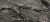 Мебельный щит Паладина 357/1 ГЛЯНЕЦ  (3000*600*4) КЕДР